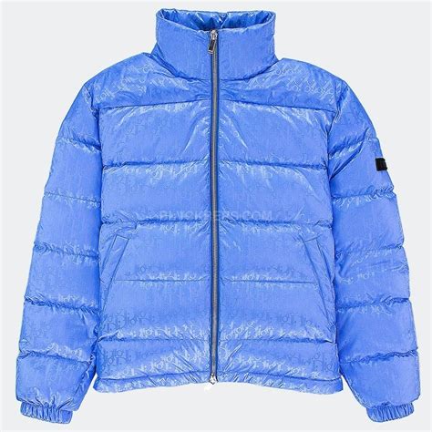 dior baby blue jacket|dior oblique down jacket stockx.